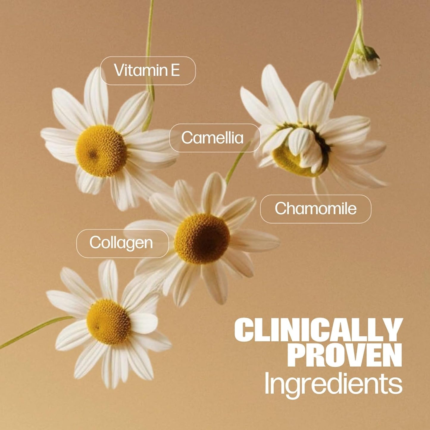 Medicine Mama's Apothecary Vmagic Gentle Feminine Wash pH Balanced to Cleanse and Rejuvenate Intimate Skin with Chamomile, Collagen, Vitamin E and Sage – Hormone Free — 8 oz