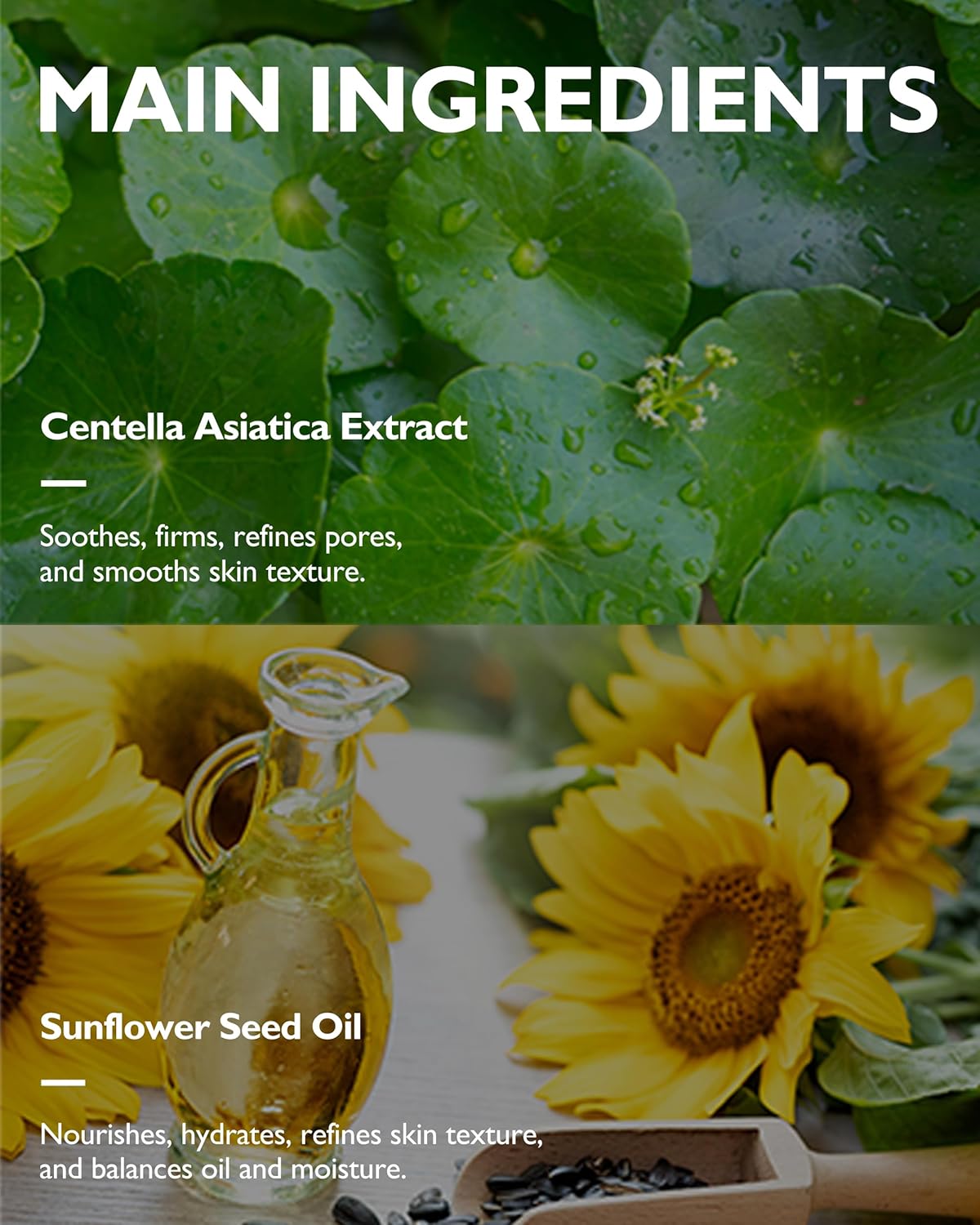 MAYISLAND 7 Days Secret Centella Cica Sleeping Mask - Korean Overnight Mask Soothing & Moisturizing Cream with Cica & Sunflower Oil - Single-Use Individual Pouch, 0.17oz x 12 Pack