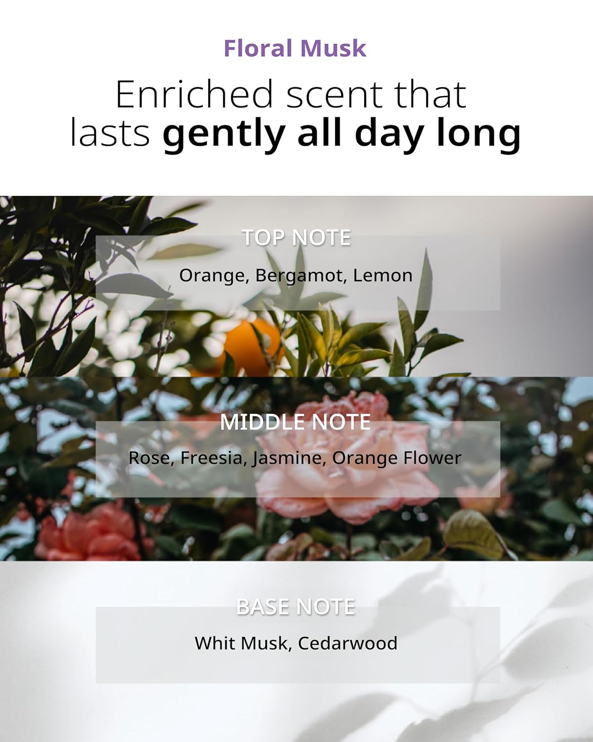 Star Shine Hair Essence - Frizz Control Nourishing Hair Oil Serum for Damaged & Dry Hair - Smooths Ends Adds Shine - Nature Derived Oil & Argan Oil - Floral Musk Scent - 3.38 fl.oz