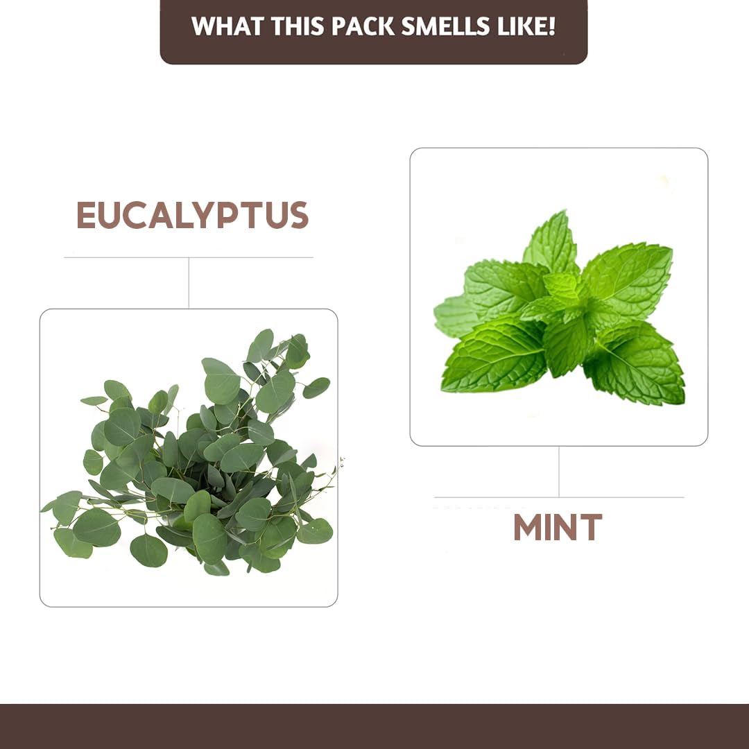 Folkulture Incense Sticks | Set of 100 Insence-Sticks with Holder for Relaxation | Eucalyptus & Mint Incense | Organic, Slow Burning & Non Toxic Inscents for Meditation |Rejuvenating Fragrance