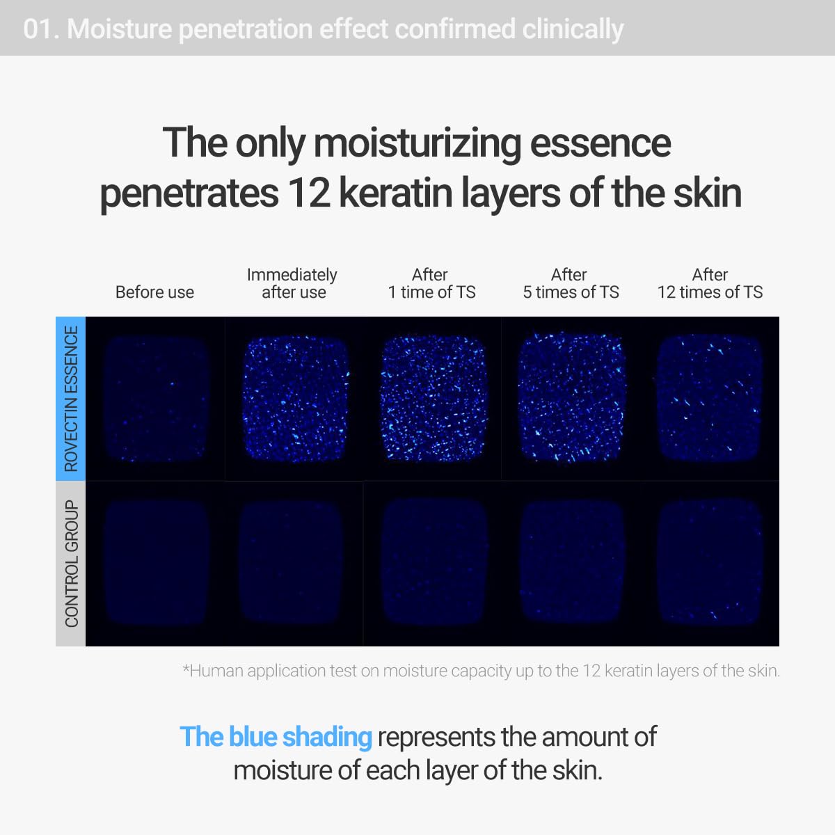 ROVECTIN Aqua Hyaluronic Essence (Activating Treatment Lotion) - 7 Layers Hyaluronic Acid Facial Toner with Niacinamide & Panthenol, Vegan Korean Skin Care (6.08 fl.oz)