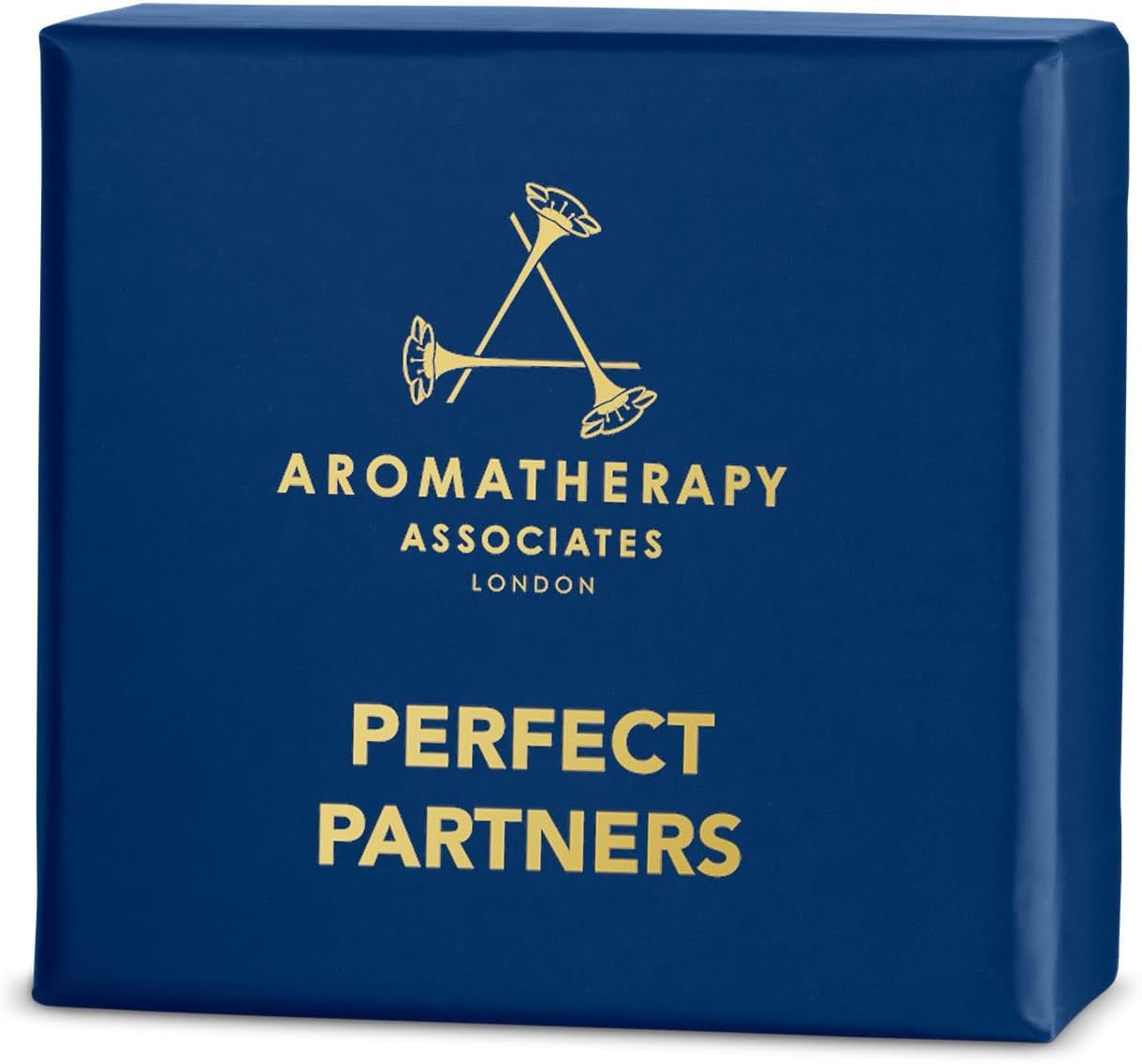 Aromatherapy Associates Perfect Partners Gift Set. 2 Premium Bath and Shower Oils (0.3 fl oz each) in Decorative Gift Box. Includes Deep Relax and Revive Morning Blends