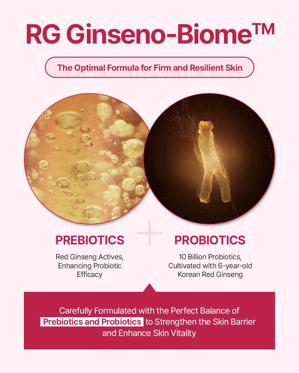 Donginbi Red Ginseng Daily Defense Cream - Firming Cream for Loose Skin, Face Moisturizer for Skin Barrier Repair, Korean Red Ginseng, Skin Care Gifts for Women, 0.8 floz / 25 ml