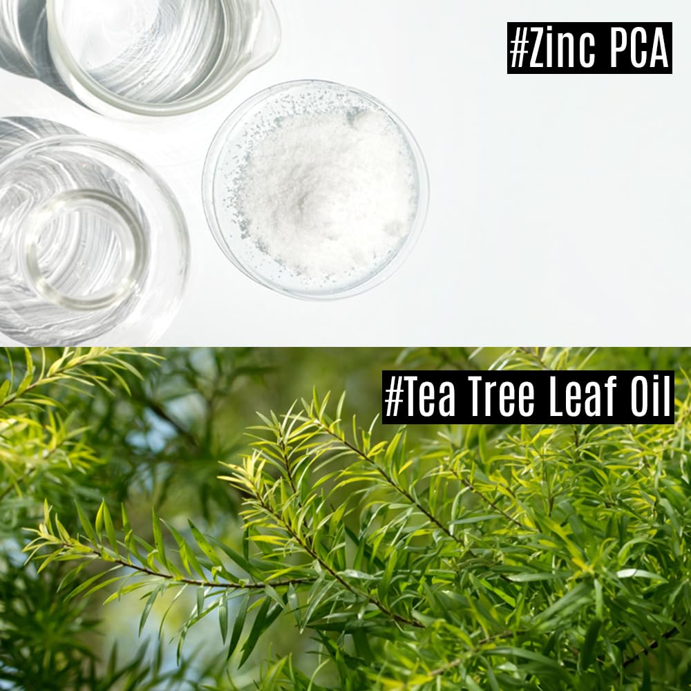 Amino Pore-Tight Facial Sheet Mask | Amino Acid Complex, Tea Tree Oil, Zinc PCA for Acne-Prone, Oily Skin, Minimizes Pores, Matte Finish (5 Sheets)