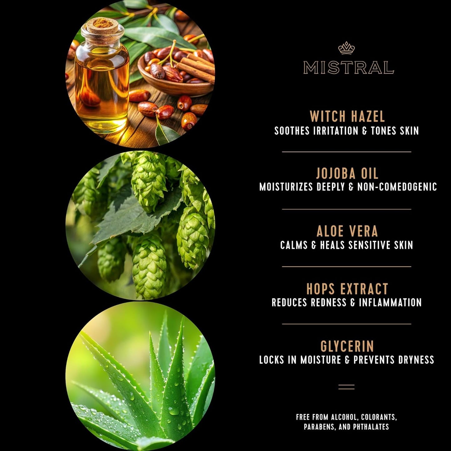 Mistral Black Amber Shaving Cream for Men | Smooth Triple Layered Foam | Men’s Shave Cream with Organic Plant Extracts | pH-balanced, Phthalates & Paraben-Free | Made in USA. 9oz Tub