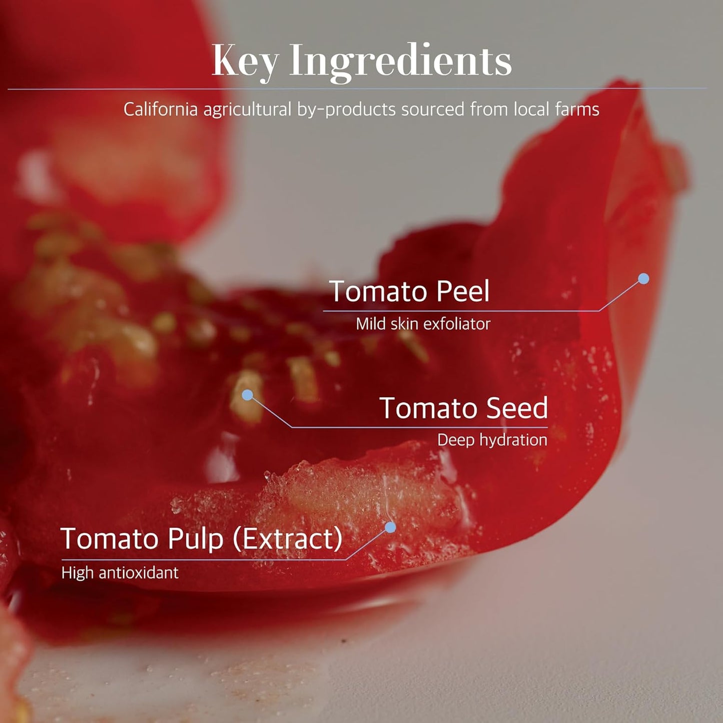 Fountain of Waters Tomato Garden Body Glow Mist - Tomato & Chocolate | Hydrate & Nourish & Glow Skin with Niacinamide | Free From Parabens, Sulfates & Phthalates (1.69 fl oz)