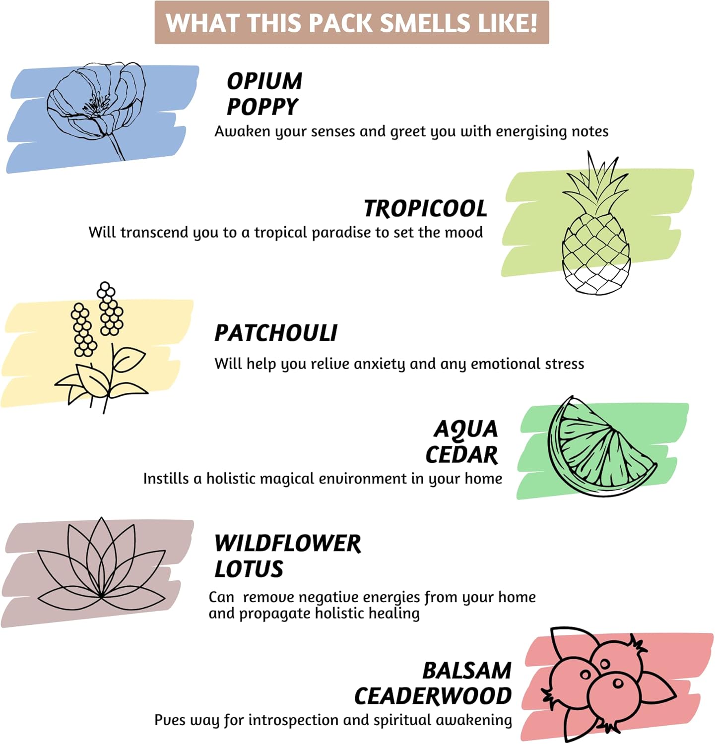 Folkulture Incense Sticks for Home | Set of 6 Variety Pack (120 Non Toxic Insence) | 45 Mins Burn Time | Balsam Cedarwood, Organic Insence-Sticks | Slow Burning Inscents-Stick for Relaxation