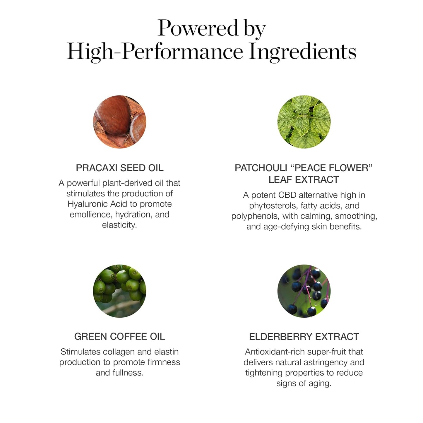 Ogee Sculpted Complexion Foundation Stick (Sequoia 13.5C - Deep Auburn, Copper Undertones) Full Coverage Foundation Makeup - Instantly Balance & Even Complexion - 70% Organic Ingredients