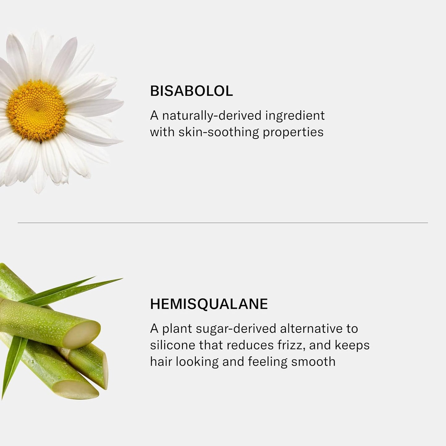 SEEN Shampoo, Fragrance Free - Non-Comedogenic & Sulfate-Free Hair Shampoo- Dermatologist-Developed - Safe for Sensitive, Eczema & Acne Prone Skin