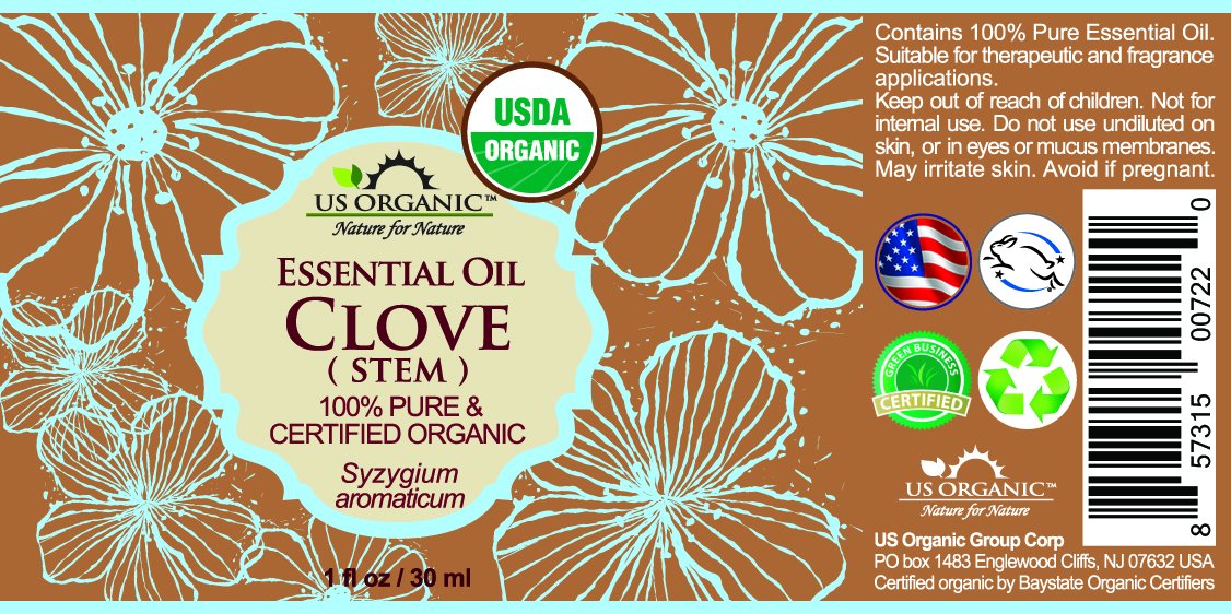 US Organic 100% Pure Clove Stem Essential Oil - USDA Certified Organic, Steam Distilled (30 ml)
