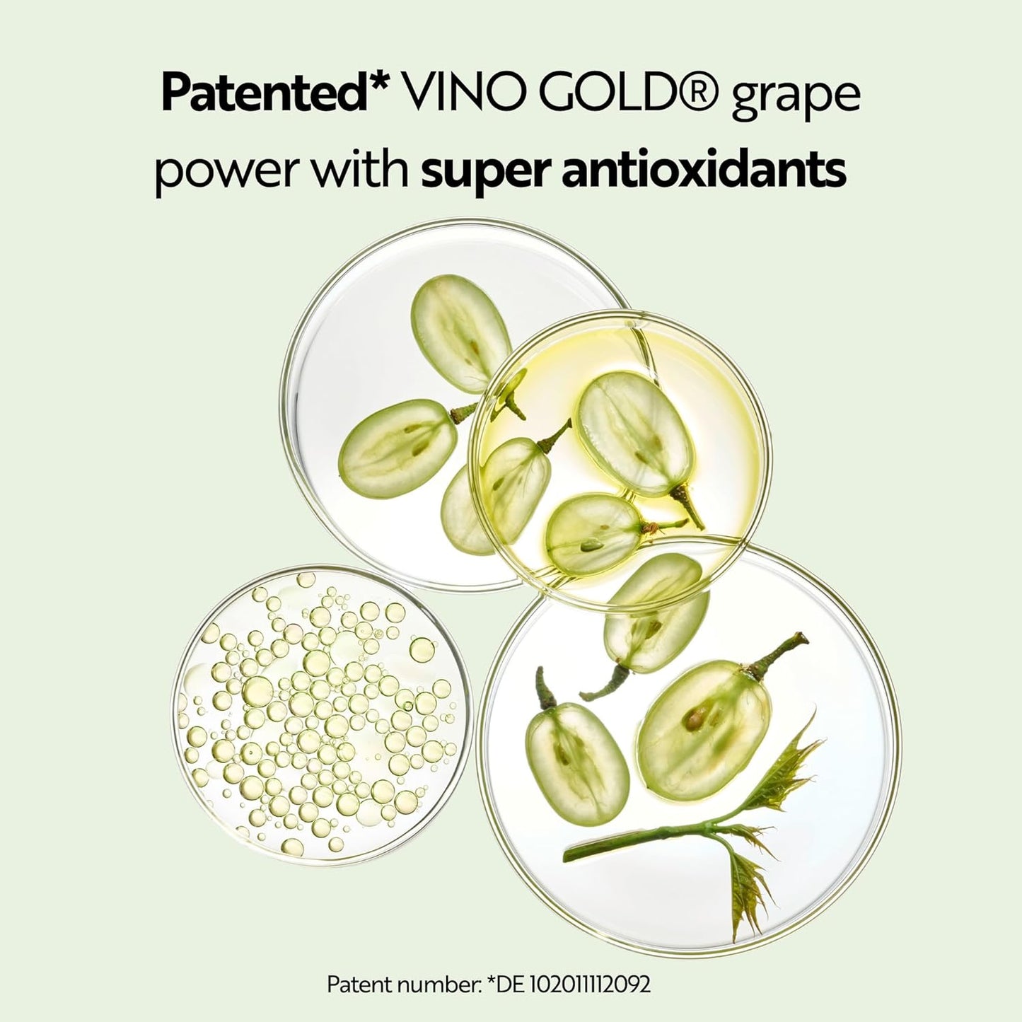 M. Asam VINO GOLD Firming Body Cream (16.9 Fl Oz)- anti-aging body care for smooth skin, lotion for women with aloe vera, cocoa butter, caffeine, vitamin E & vitamin B3, vegan personal skin care.