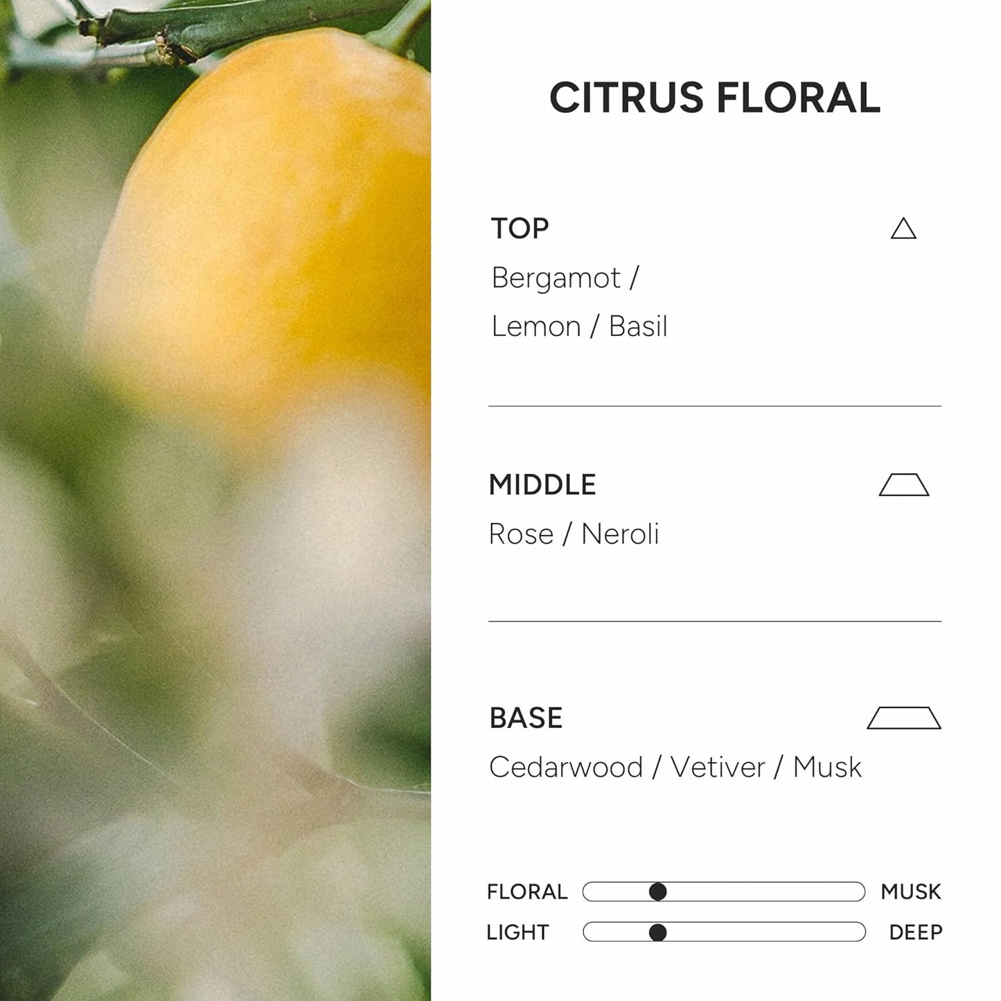 Perfumed Hair Oil & Serum – Korean Hair Essence Oil for Frizzy Hair, Shine & Damage Repair – Argan Oils & Amino Acids – Sulfate & Paraben-Free – Citrus Floral, 100ml / 3.38 fl oz