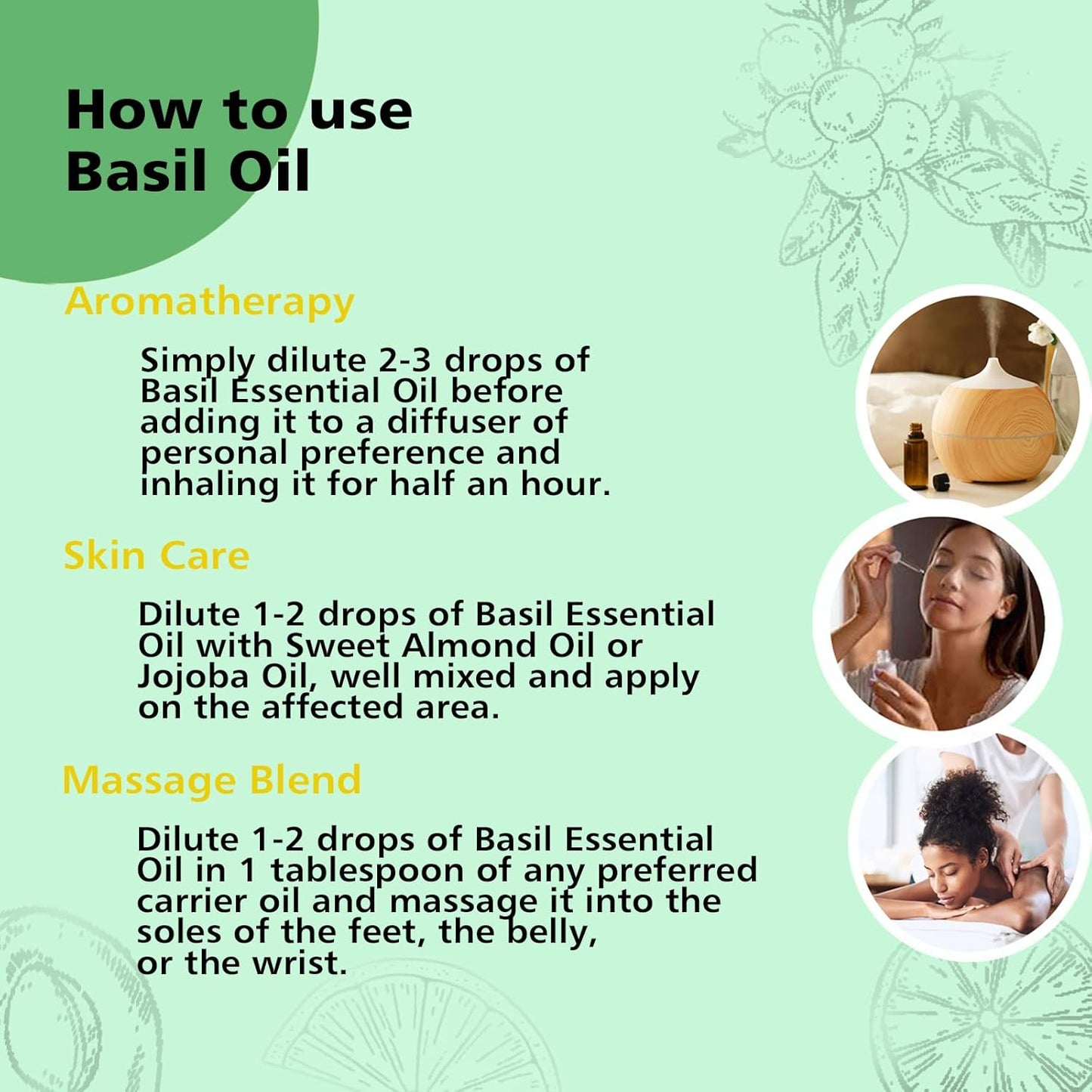 Basil Essential Oil 1 Oz – 100% Pure Natural Basil Oil for Diffuser, Skin, Massage & DIY, Fresh Herbaceous Aroma