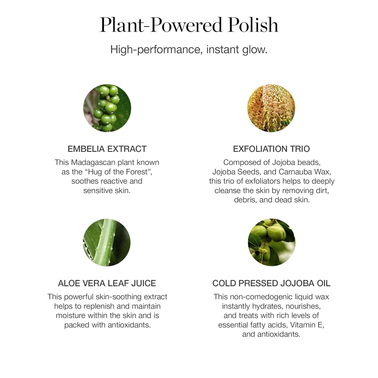 Ogee Botanical Brilliance Exfoliating Cleanser - High Performance Facial Cleanser and Face Exfoliator - Certified Organic - Made in USA