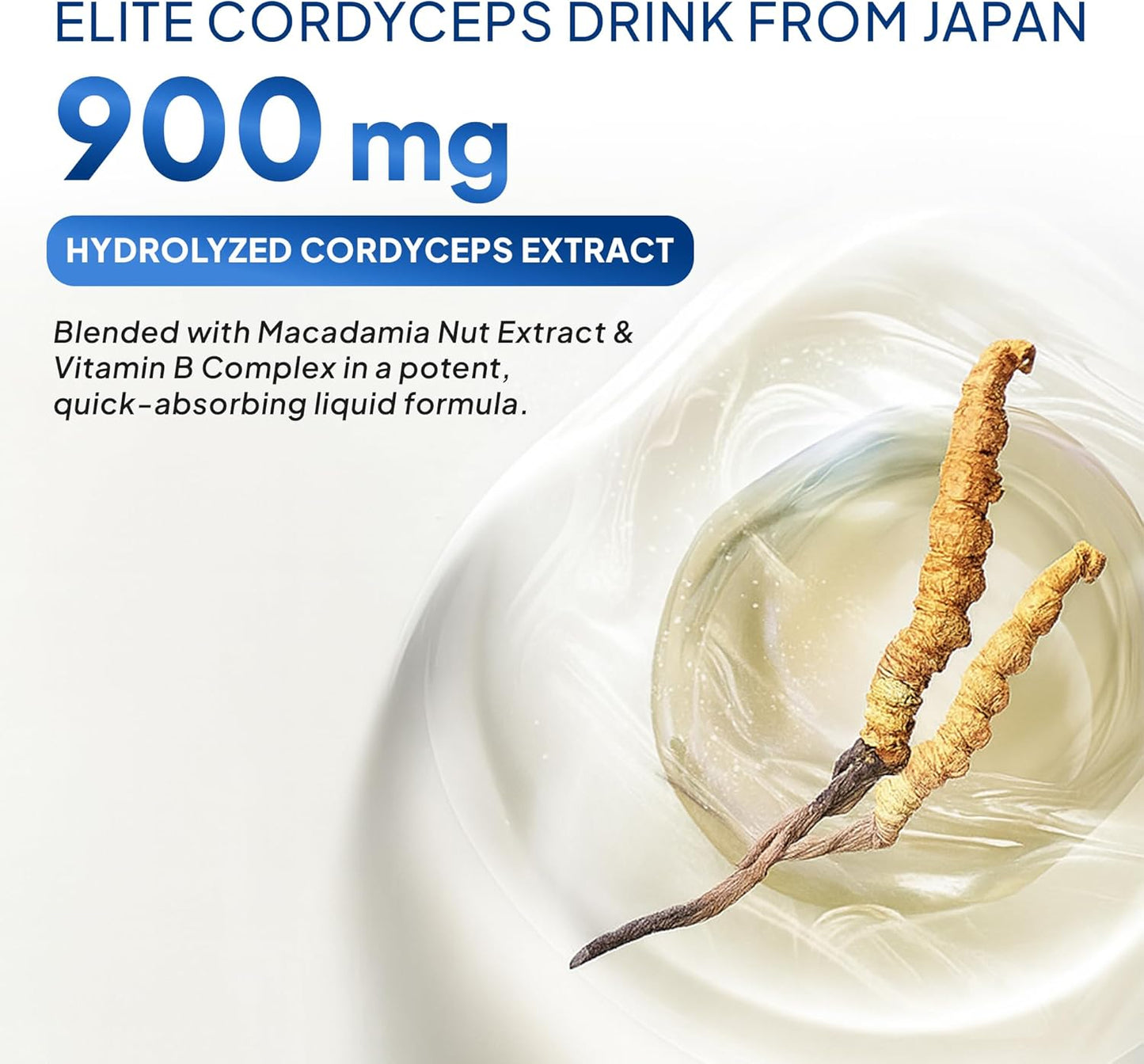 FINE JAPAN Cordyceps Plus: Premium Cordyceps Mushroom Extract and Macadamia Blend - Smart Drops Adaptogenic Mushrooms, Organic Mushroom Supplement for Energy & Immunity, Liquid Cordyceps (Pack of 10)
