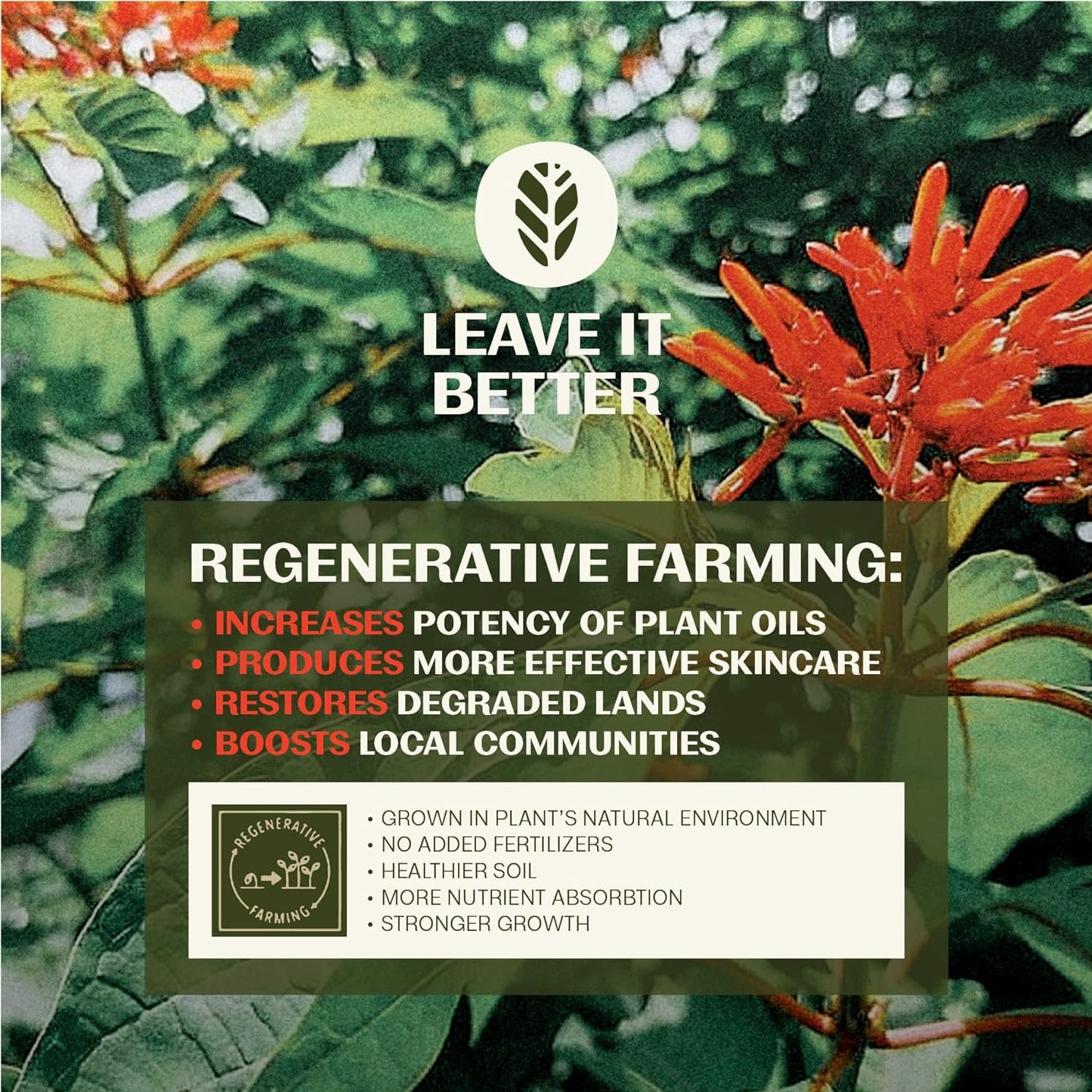 Thrive Natural Care Moisturizing Mineral Face Sunscreen SPF 30, 2 Ounces, Lightweight Moisturizer Broad-Spectrum Natural Face Sunblock with Clear Zinc Oxide & Antioxidants, Vegan Non Greasy, Pack of 3