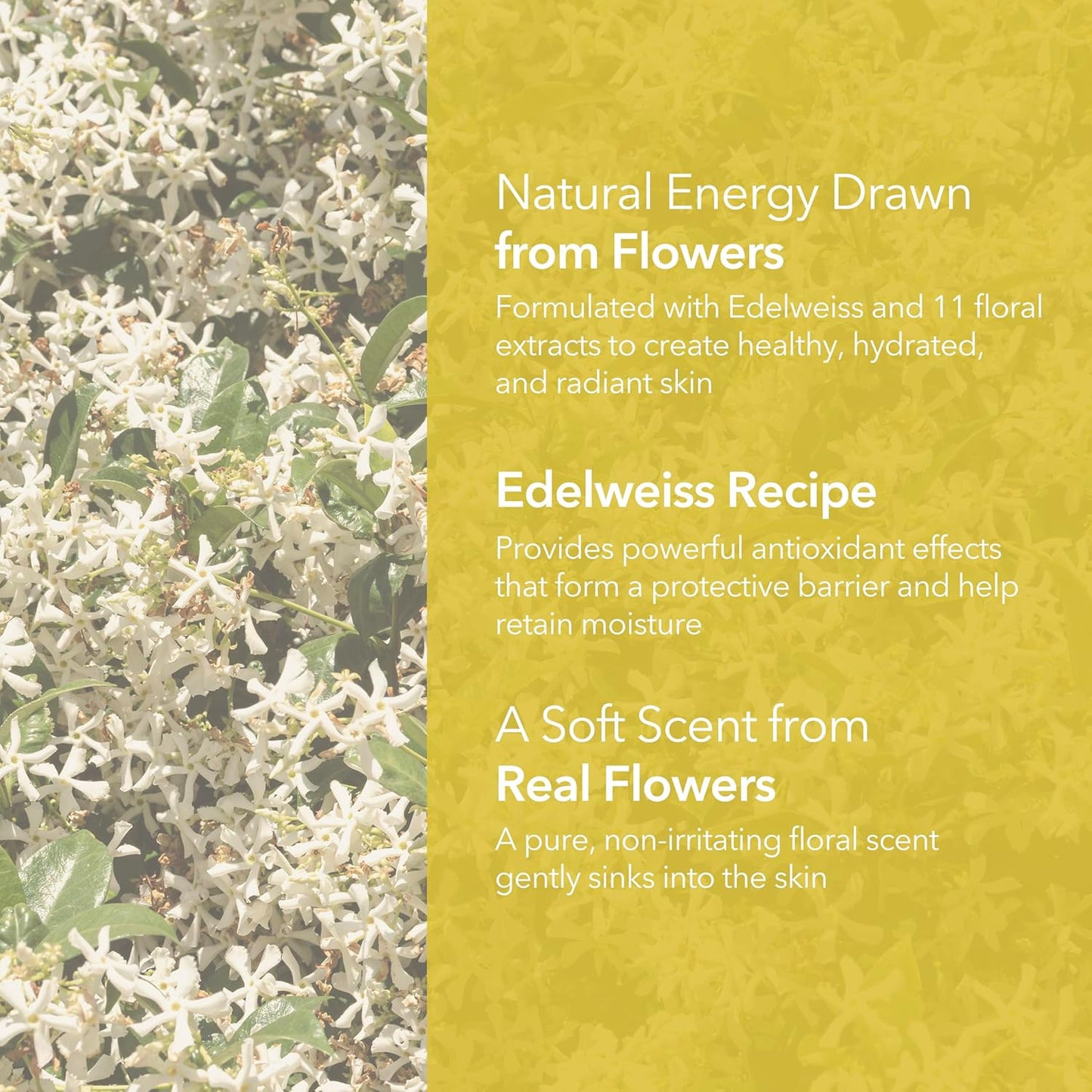 Edelweiss Cleansing Balm – Vegan Makeup Remover and Face Cleanser with Natural Flower Extracts. Korean Skincare, No Parabens or Sulfates (3.38 fl oz)