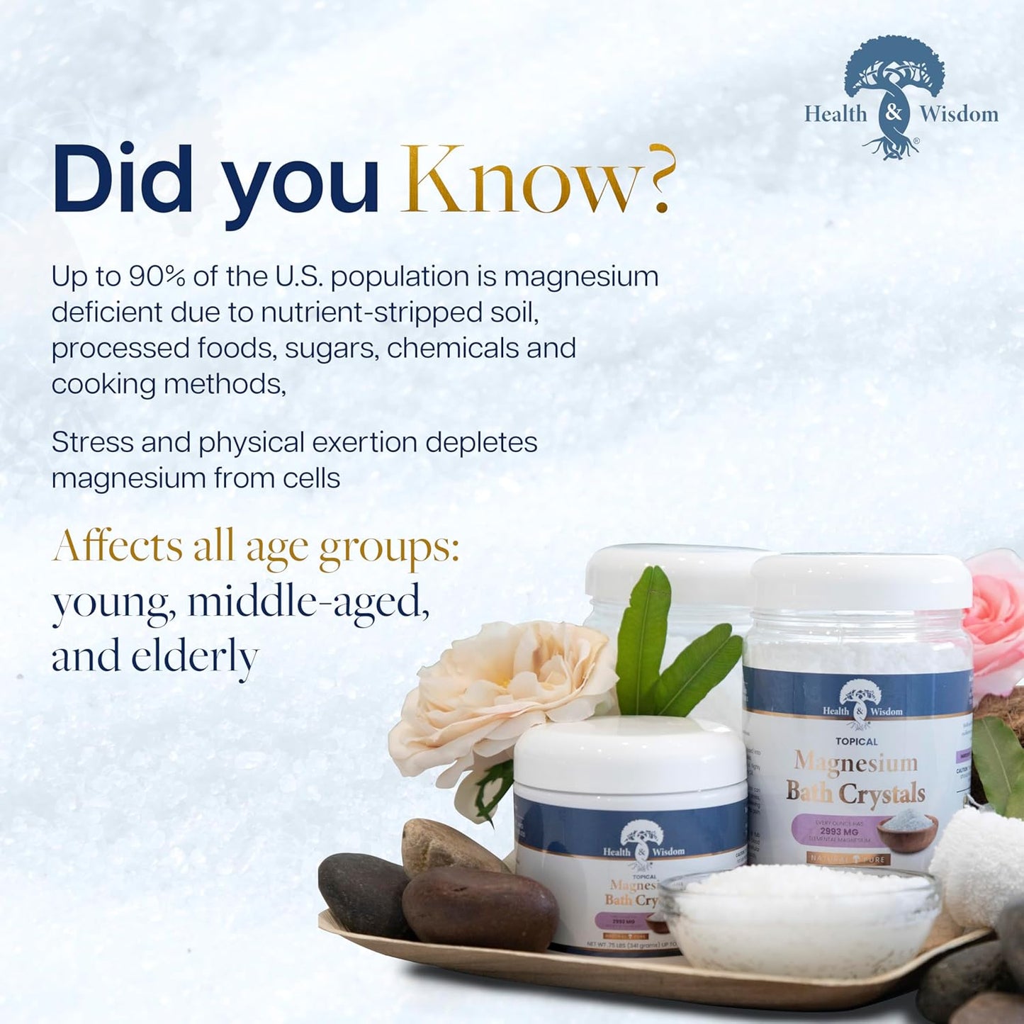 Health and Wisdom Magnesium Bath Crystals - Bath Salts with High Concentration & Enhanced Absorption for Muscle & Joint Relief - Dead Sea Sourced - Unscented - 14 lbs - Up to 113 Uses