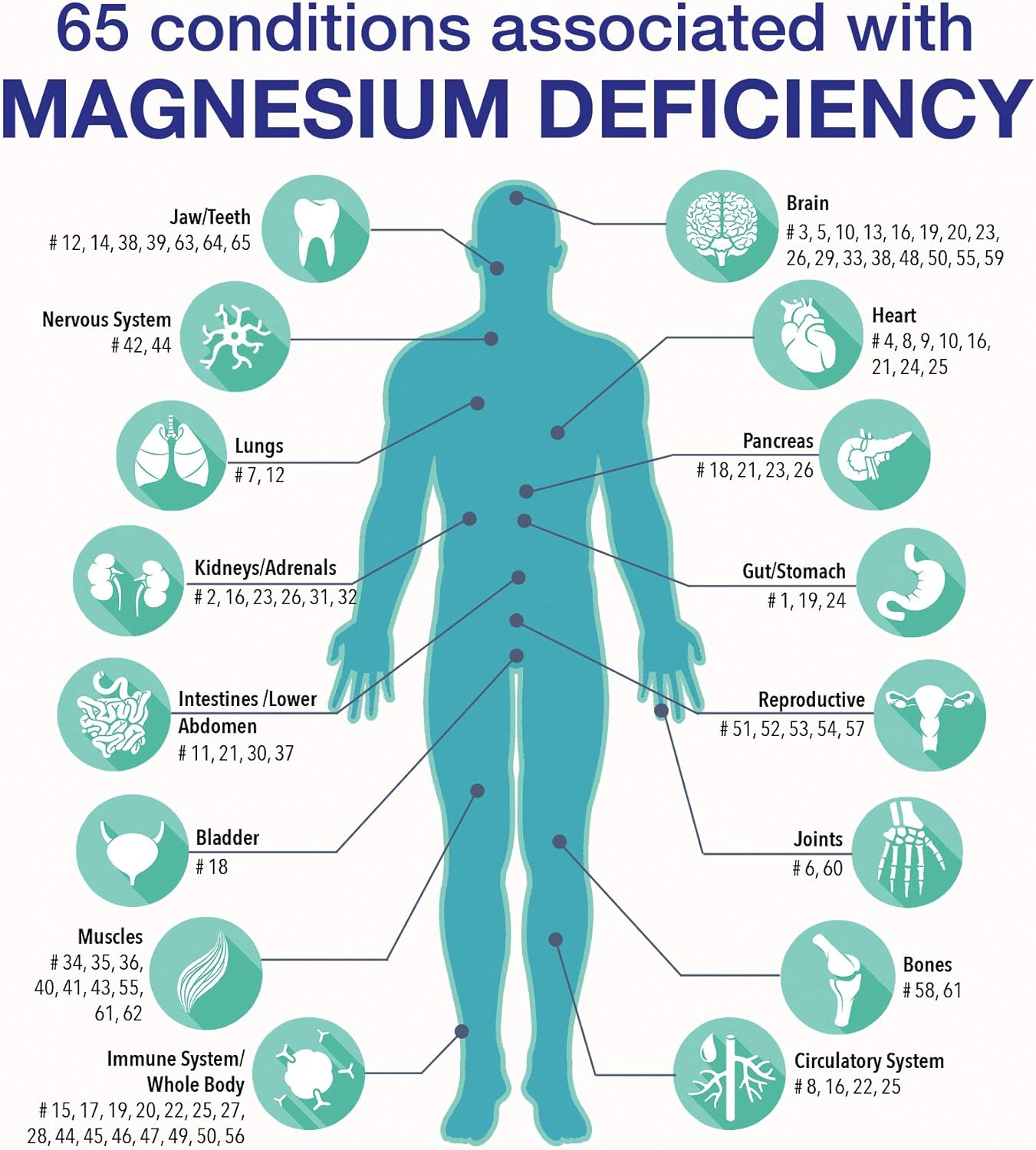 RnA ReSet ReMag – Pico-Ionic Liquid Magnesium for High Absorption, 16.2 Fl Oz (1-Pack)