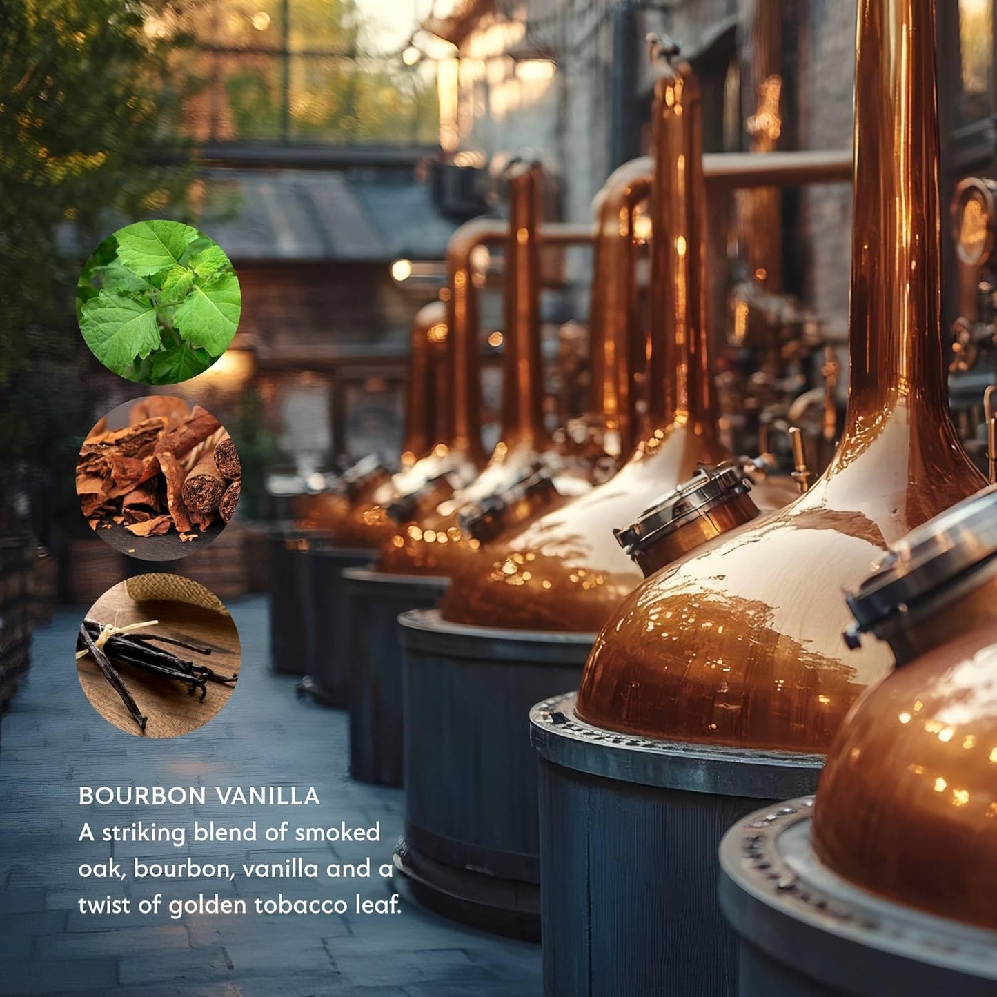 Mistral Bourbon Vanilla Shaving Cream for Men | Smooth Triple Layered Foam | Men’s Shave Cream with Organic Plant Extracts | pH-balanced, Phthalates & Paraben-Free | Made in USA. 9oz Tub