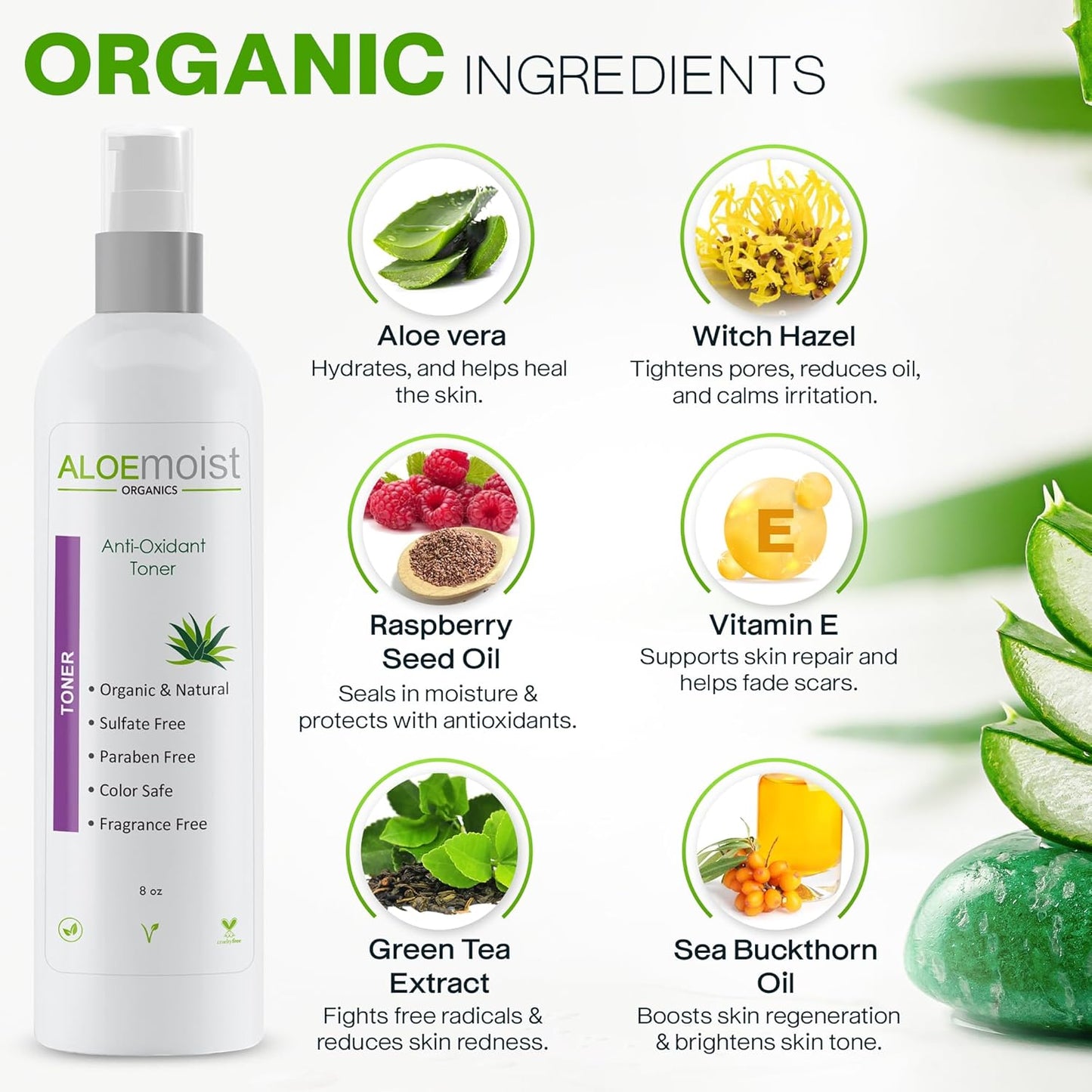 Green Tea Toner for Face: Pore Minimizing, pH Balancing & Hydrating Facial Toner for Aging Skin with Calming Aloe Vera & Antioxidant Green Tea Skincare for Women Dry, Oily, Acne Prone & Sensitive Skin