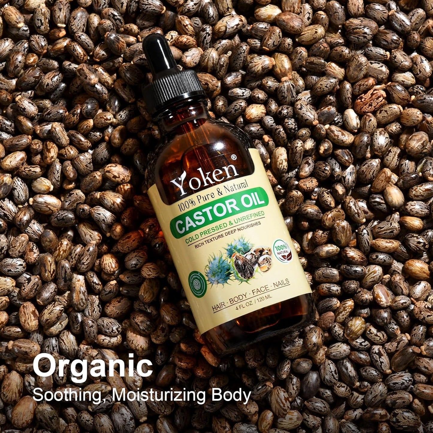 Yoken Castor Oil EWG Verified 4oz Glass Bottle - 100% Pure, Cold Pressed, Hexane Free, Virgin Caster Oils for Face, Eyelash, Eyebrow, Hair - with Lash Starter Kit & Empty Roller Ball Bottle