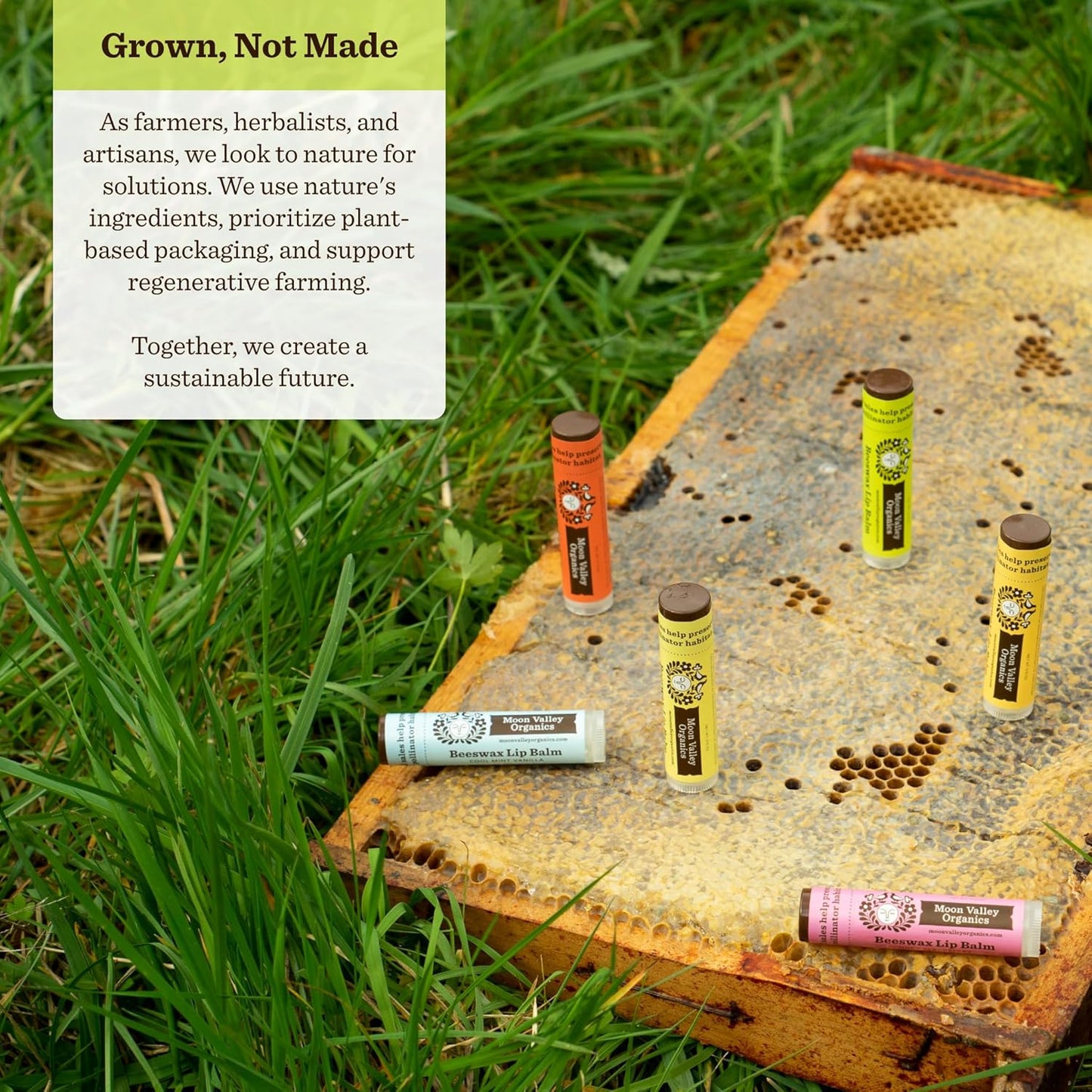 Moon Valley Organics Beeswax Lip Balm for Moisturizing Lips and Cuticles (TROPICAL COCONUT LIME, 4 Count (Pack of 1))