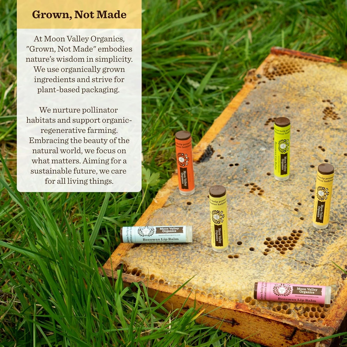 Moon Valley Organics Beeswax Lip Balm for Moisturizing Lips and Cuticles (SWEET HONEY, 4pack)