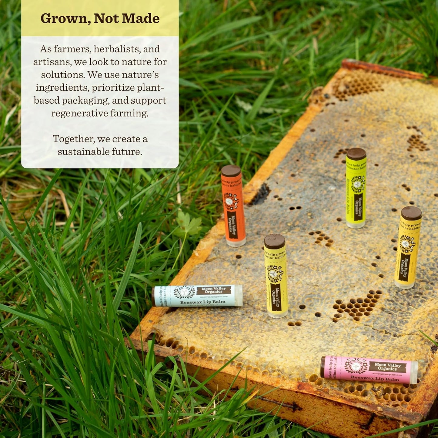 Moon Valley Organics Beeswax Lip Balm for Moisturizing Lips and Cuticles (VELVETY VANILLA, 6-Pack)