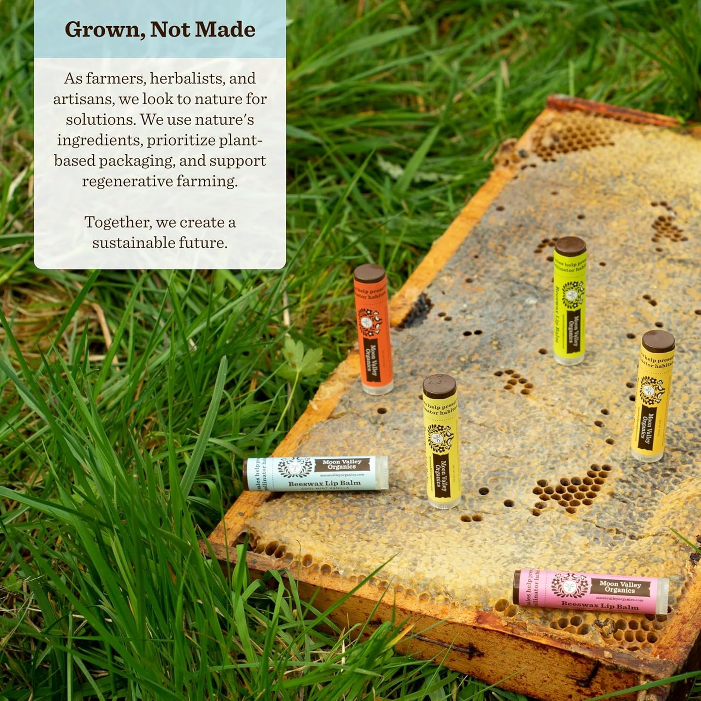 Moon Valley Organics Beeswax Lip Balm for Moisturizing Lips and Cuticles (COOL MINT VANILLA, 4 Count (Pack of 1))