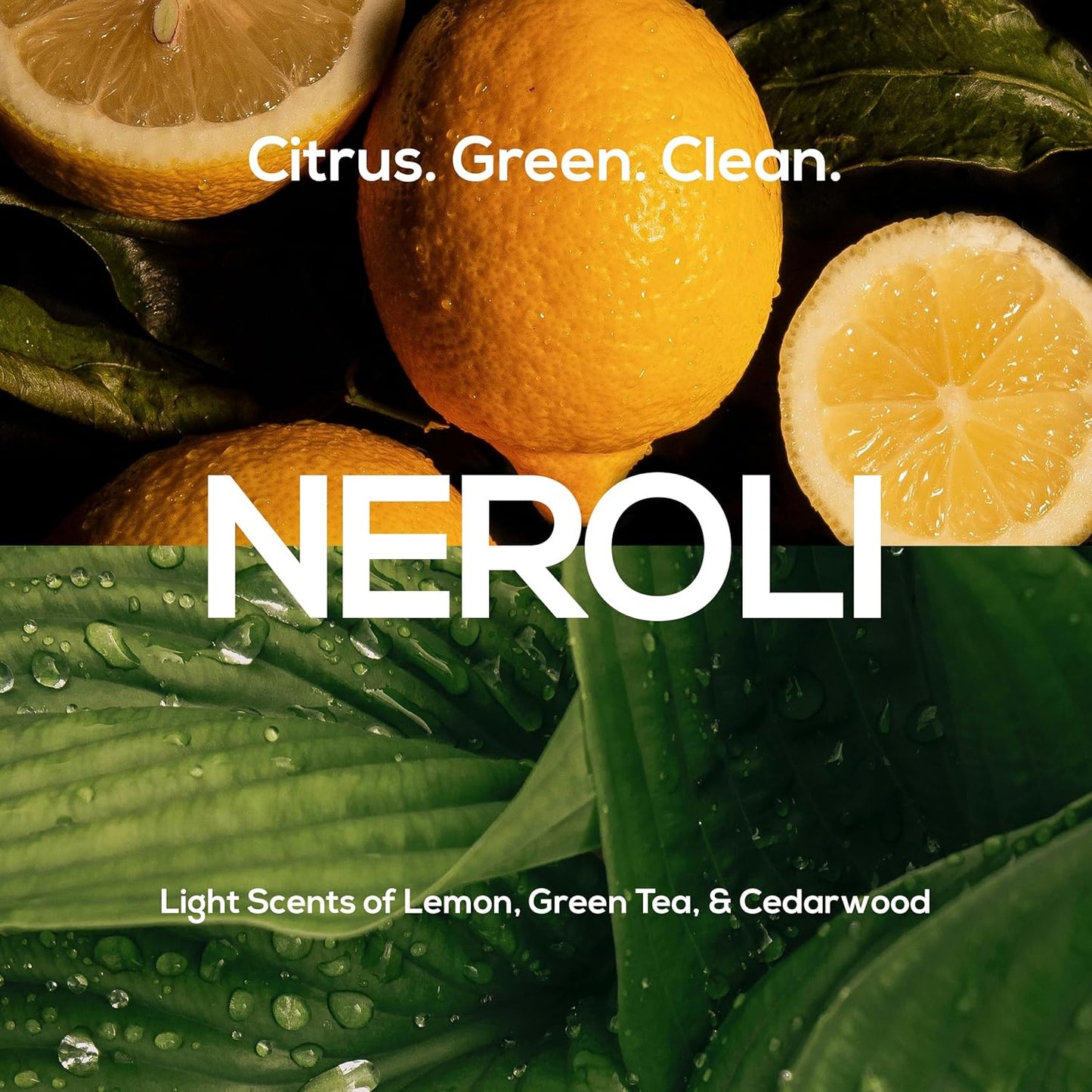 MARLOWE. No. 108 Lightly Exfoliating Soap Bar, 7oz (12 Bars) Polishing, Moisturizing & Cleansing Bar Soap for Men, Made with Natural Ingredients